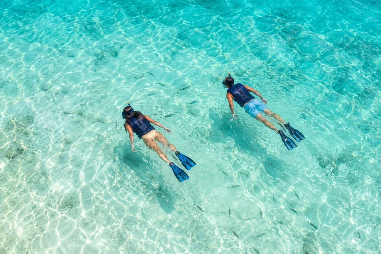 Guests snorkelling in clear shallow water — AI-generated illustration